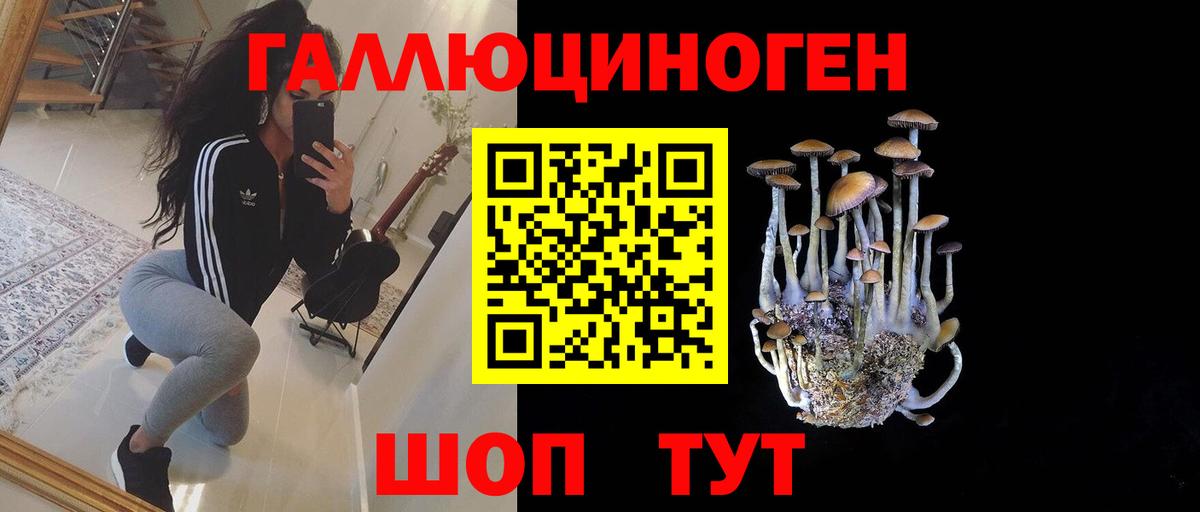 Орехово-Зуево  продажа наркотиков  Псилоцибиновые грибы GOLDEN TEACHER  Вход с VPN  Галлюциногенные грибы MAGIC MUSHROOMS 
